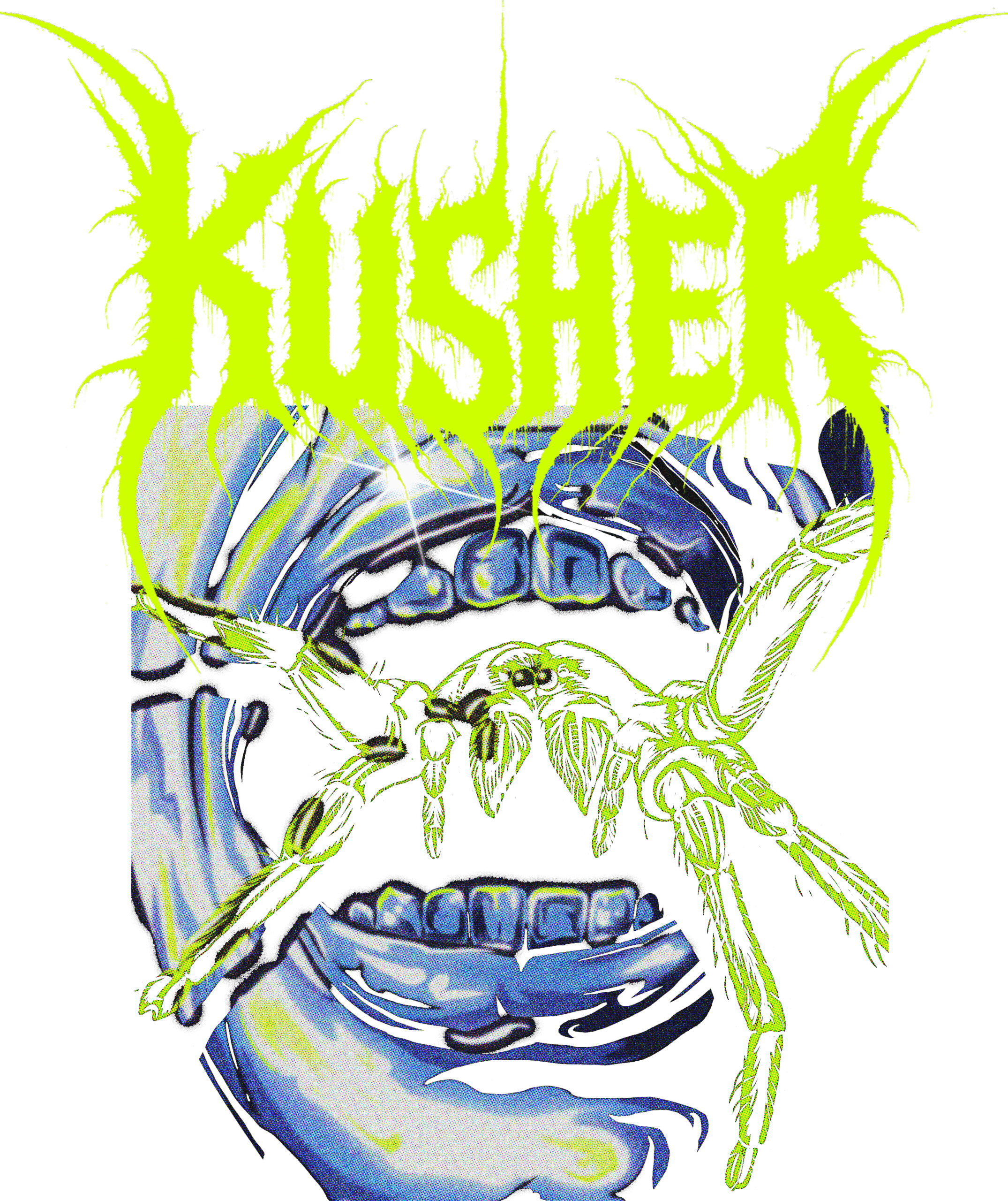 spider
